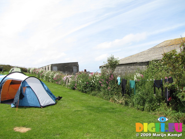 SX06911 Our tent at the flowers in the hedge on the Headland Caravan & Camping Park